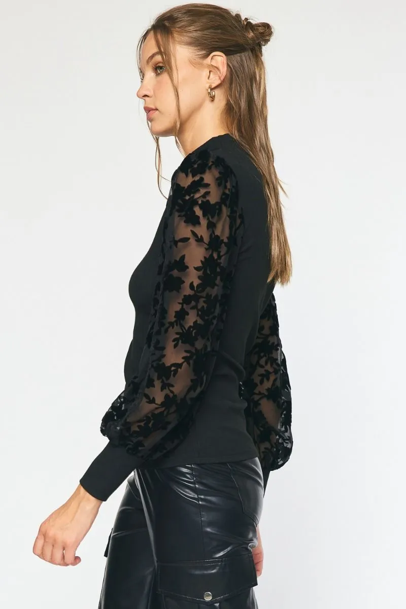 Sheer Long Sleeve Top